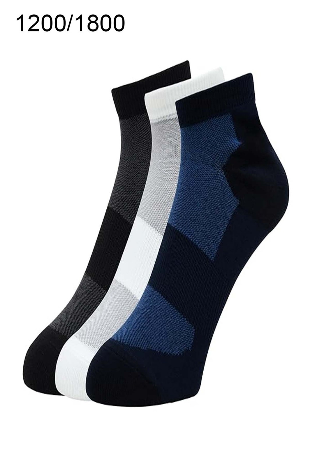 WhatsApp Image 2024-09-14 at 1.25.43 PM